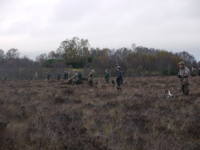  El jalo al plamarro es una manera fantástica de experimentar el aire libre 